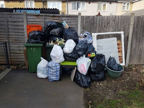 Team removing garden waste with safety gear and van in the background