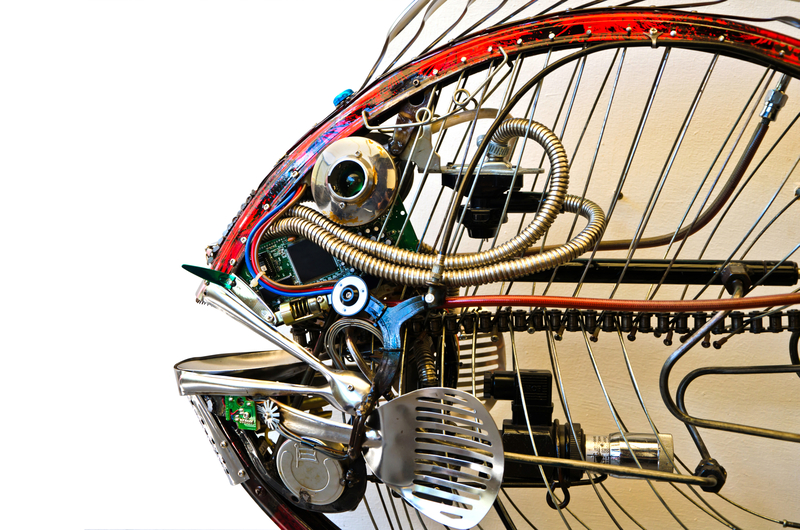 waste removal waste disposal